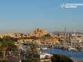 YEH-Mallorca-2014-2